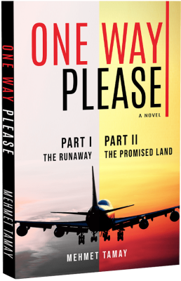 One way please book cover